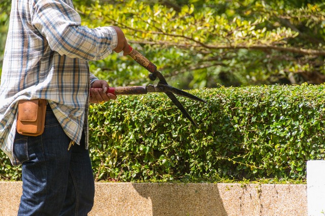 Garden Maintenance Barking, Creekmouth, IG11